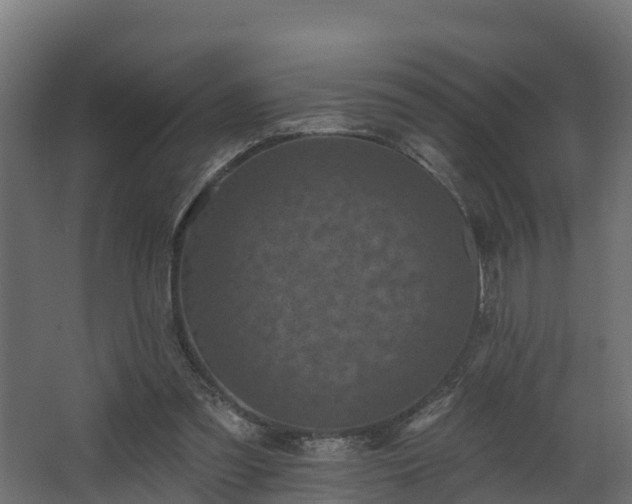 X0000068740301200605011032