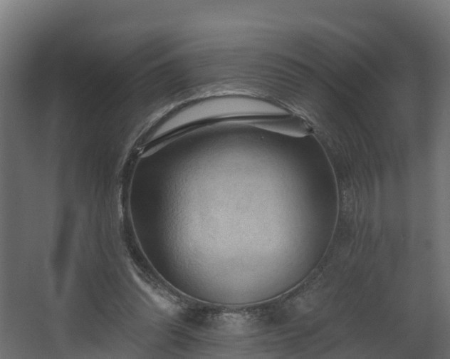 X0000068740302200605011032