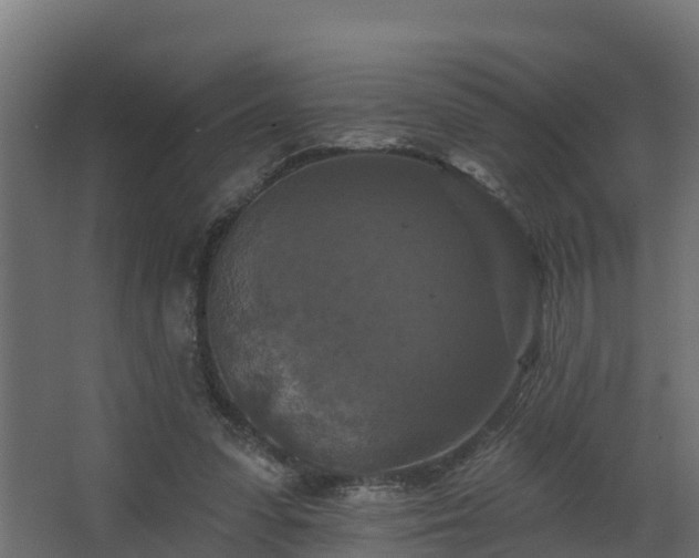 X0000068740303200605011032