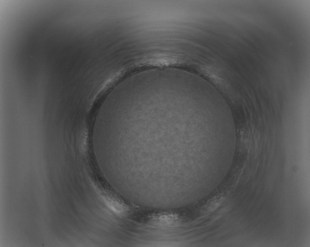 X0000068740304200605011032