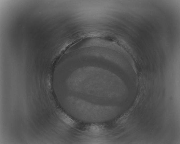 X0000068740305200605011032