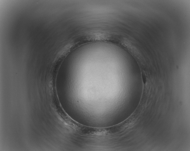 X0000068740306200605011032