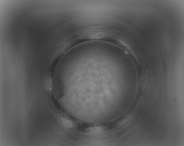 X0000068740307200605011032