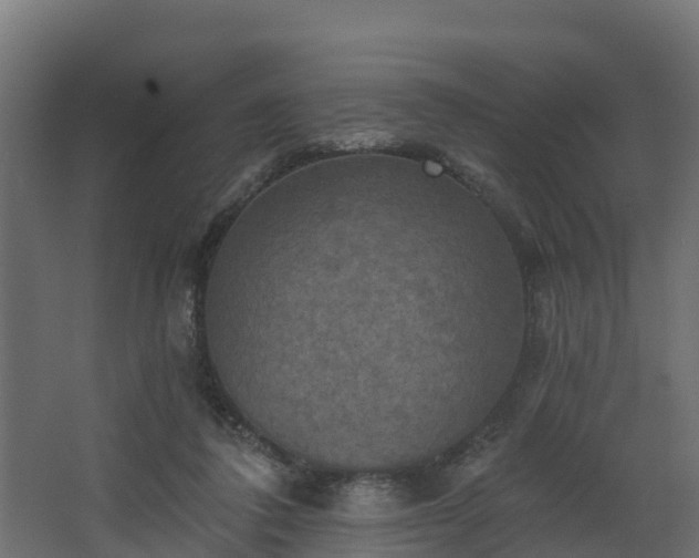 X0000068740308200605011032