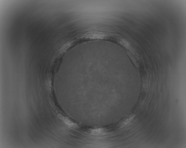 X0000068740309200605011032