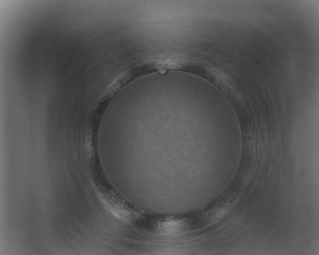 X0000068740312200605011032