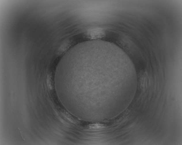 X0000068740316200605011032