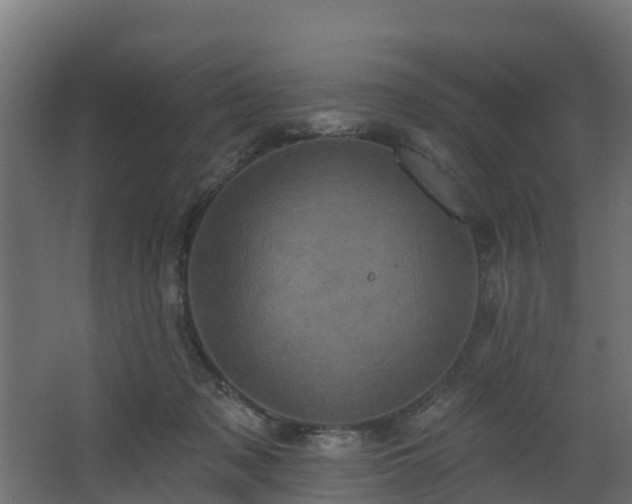 X0000068740317200605011032