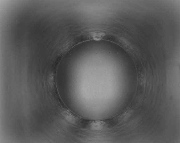 X0000068740321200605011032