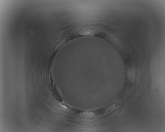 X0000068740322200605011032