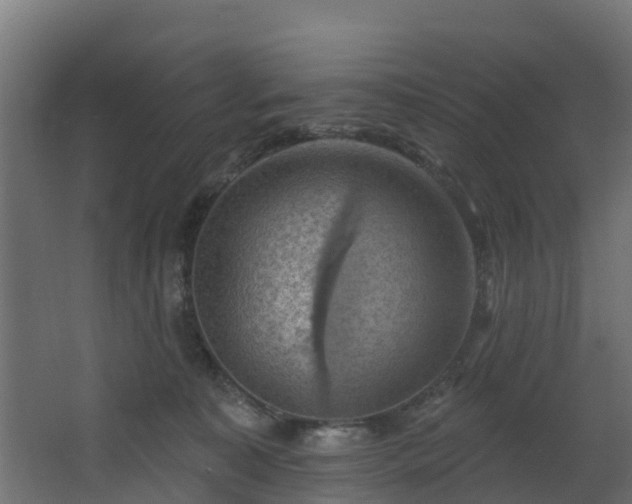 X0000068740323200605011032