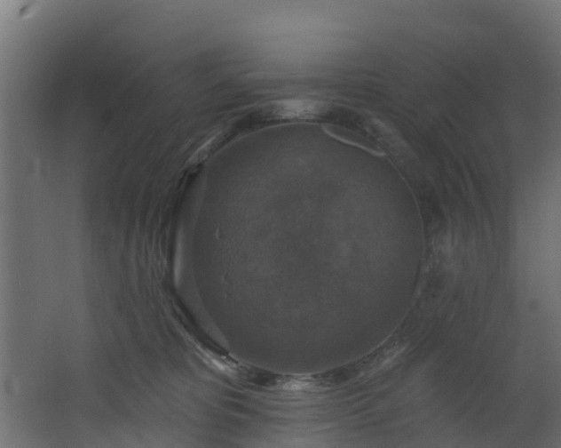 X0000068740325200605011032