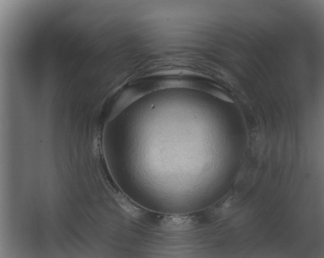 X0000068740329200605011032