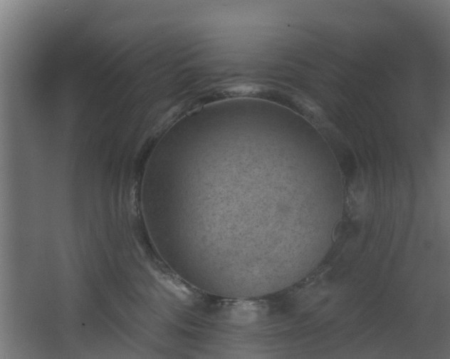 X0000068740330200605011032