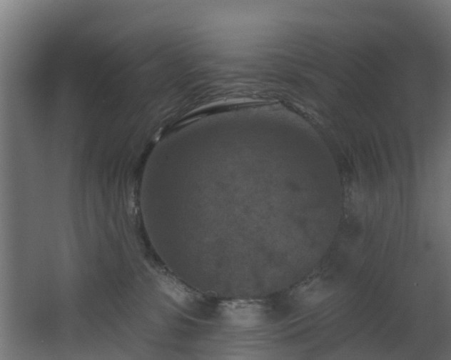 X0000068740331200605011032