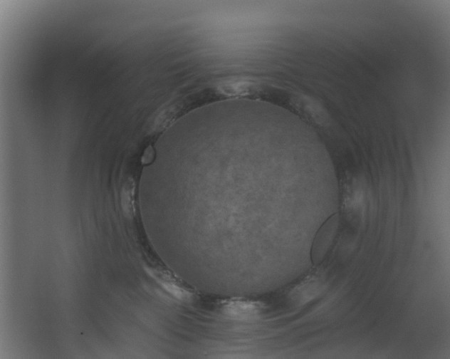 X0000068740332200605011032