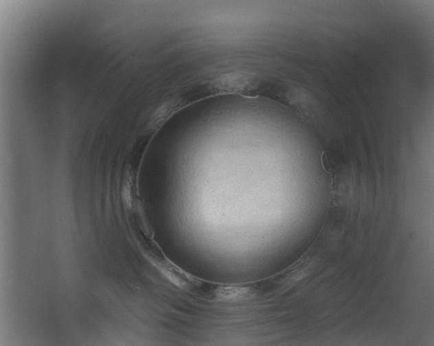 X0000068740334200605011032