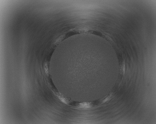 X0000068740335200605011032