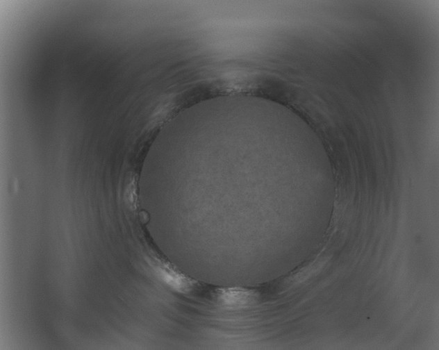 X0000068740336200605011032