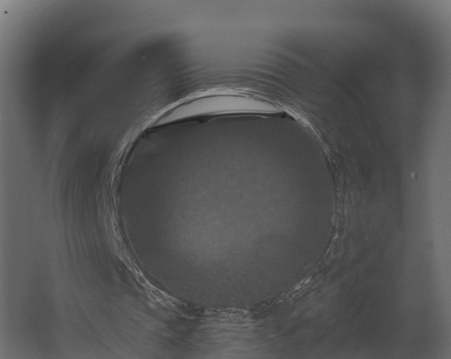 X0000068740337200605011031