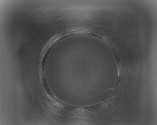 X0000068740339200605011031