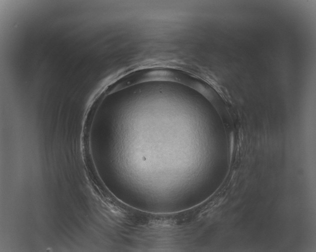 X0000068740340200605011031