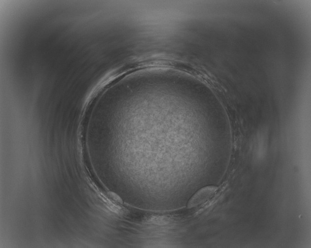 X0000068740341200605011031