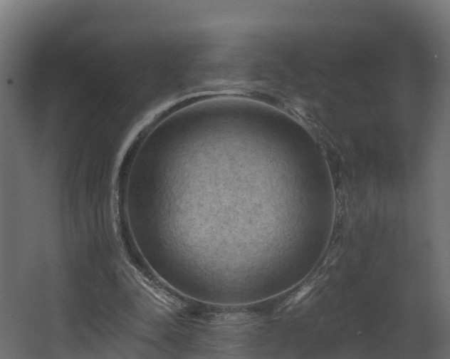 X0000068740342200605011031