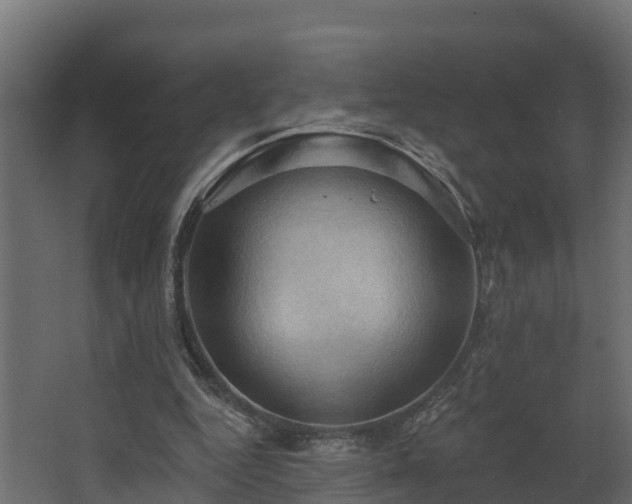 X0000068740344200605011031