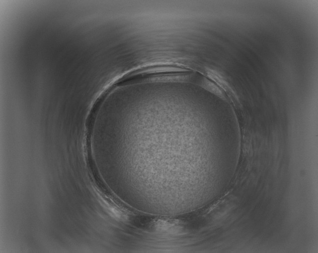 X0000068740346200605011031