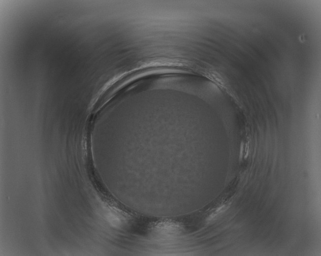 X0000068740348200605011031