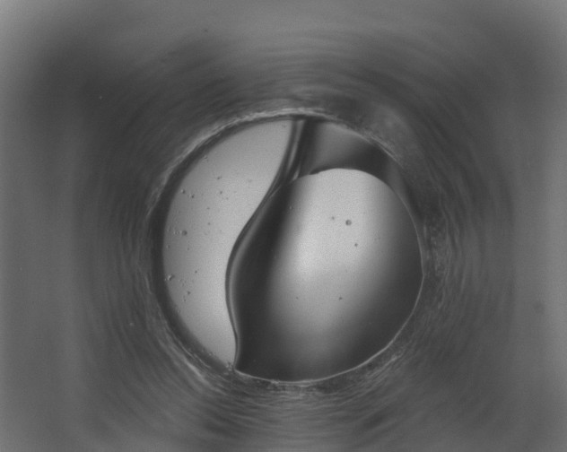 X0000068740350200605011031