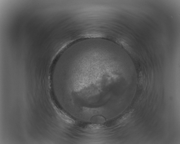 X0000068740351200605011031