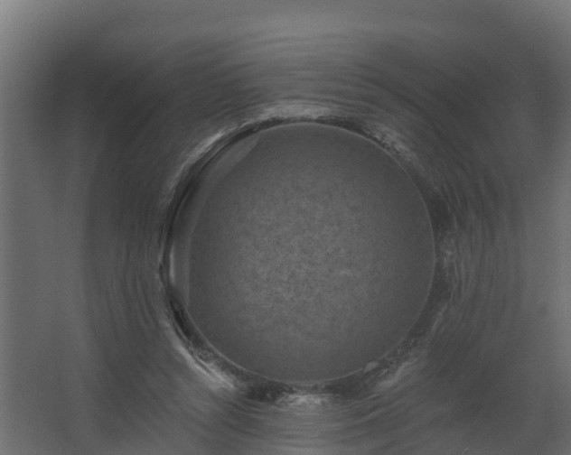 X0000068740352200605011031