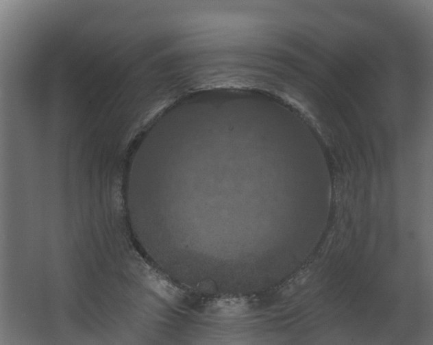 X0000068740353200605011031