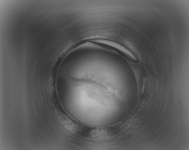 X0000068740354200605011031