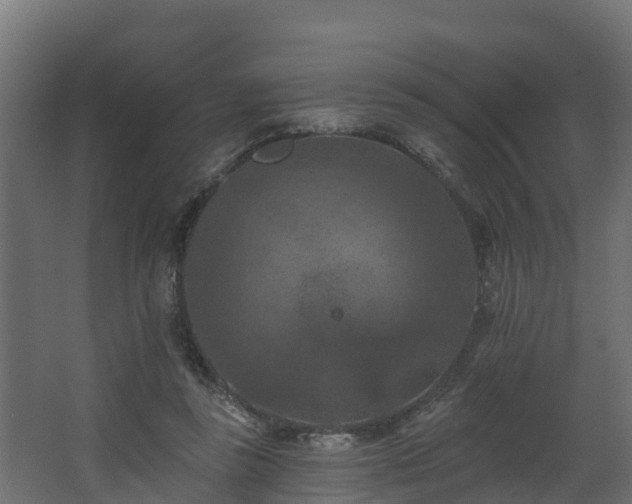 X0000068740355200605011031