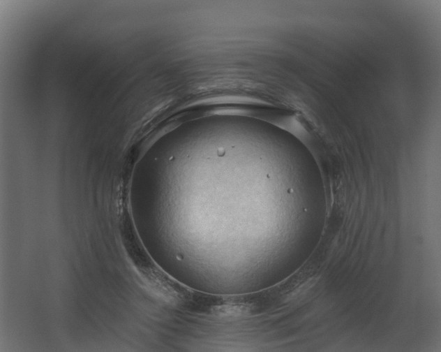 X0000068740356200605011031