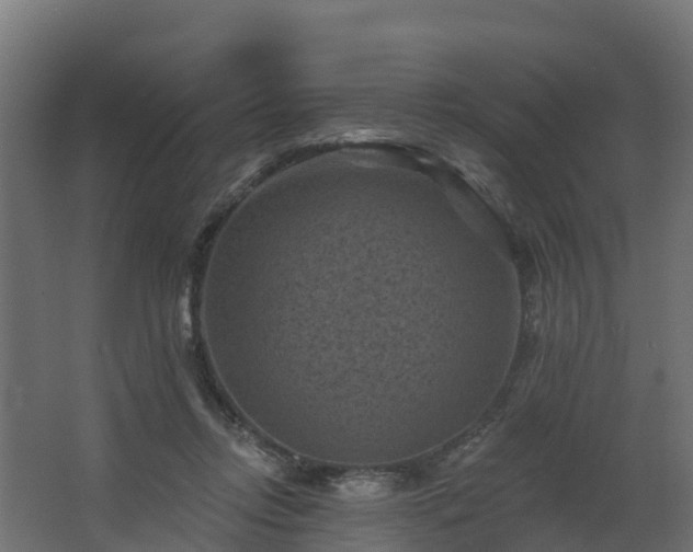 X0000068740358200605011031