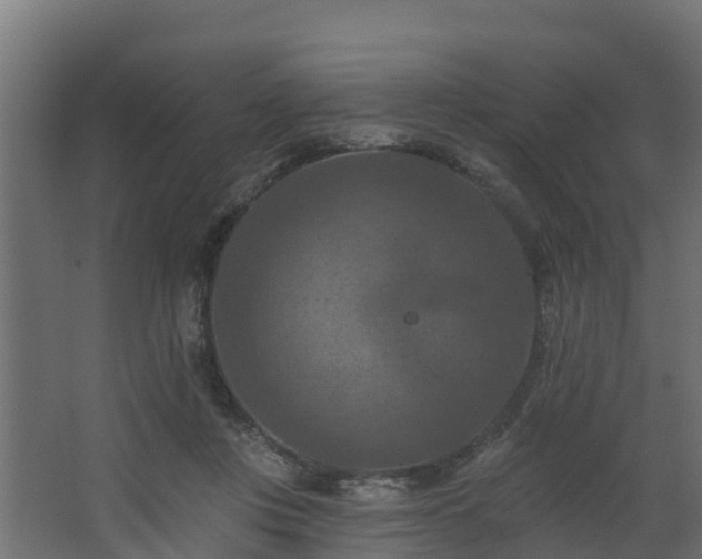 X0000068740359200605011031