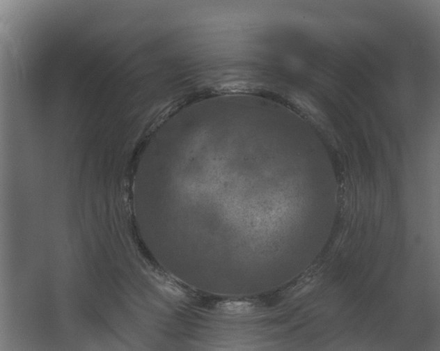 X0000068740361200605011031