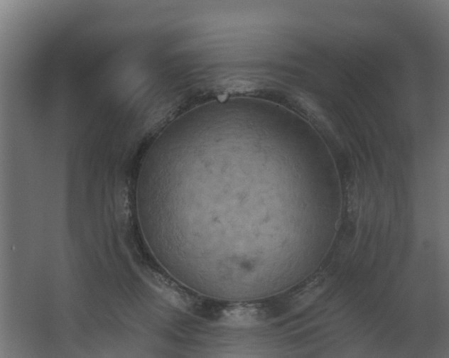 X0000068740362200605011031