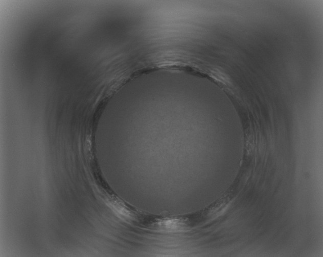 X0000068740365200605011031