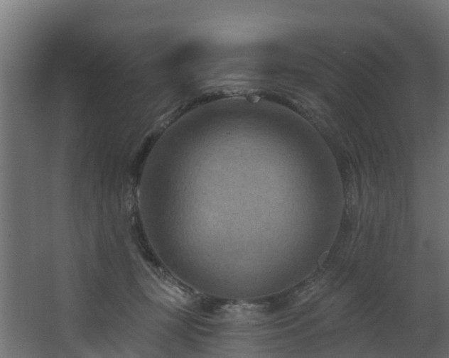 X0000068740367200605011031