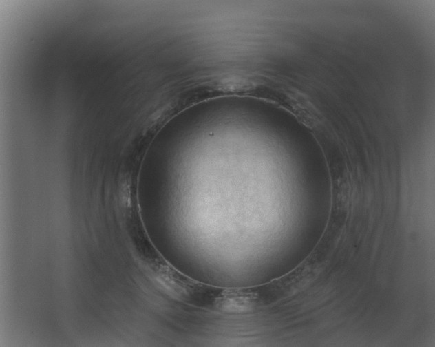 X0000068740368200605011031