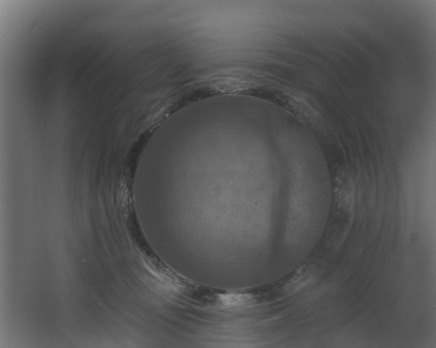 X0000068740371200605011031