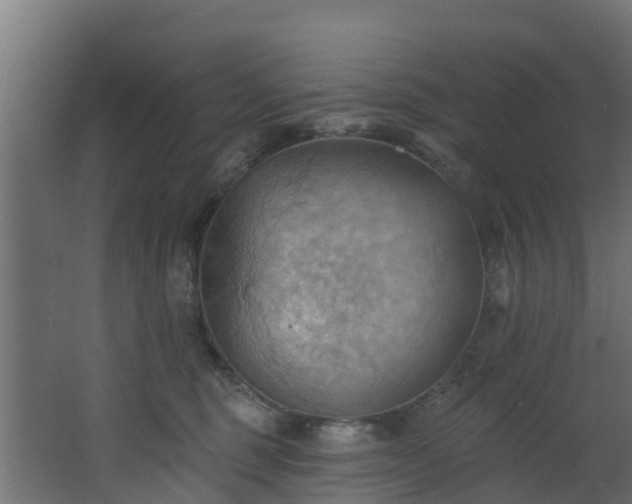 X0000068740375200605011031