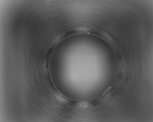 X0000068740377200605011031