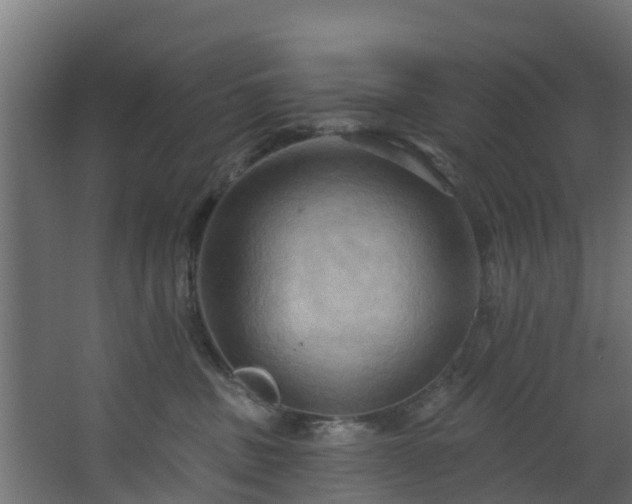 X0000068740379200605011031