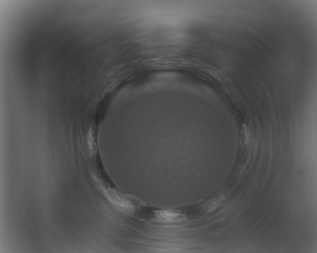 X0000068740380200605011032